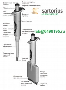 725140 ������� Sartorius Biohit mLINE 8-��������� 30-300 ���